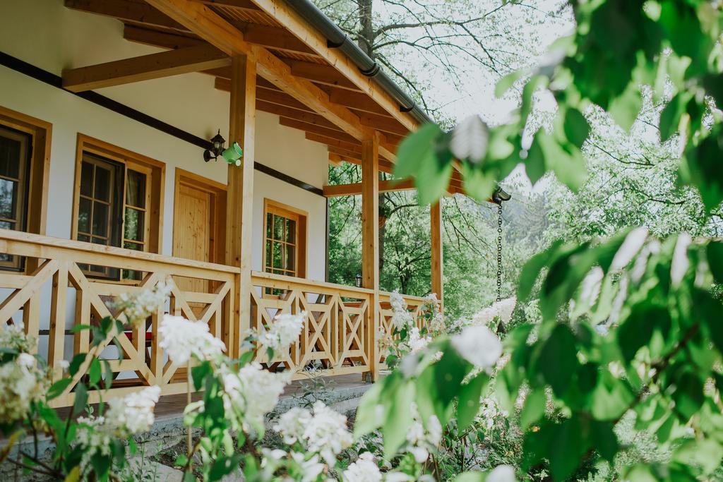 Cosama Village Сигишоара Экстерьер фото