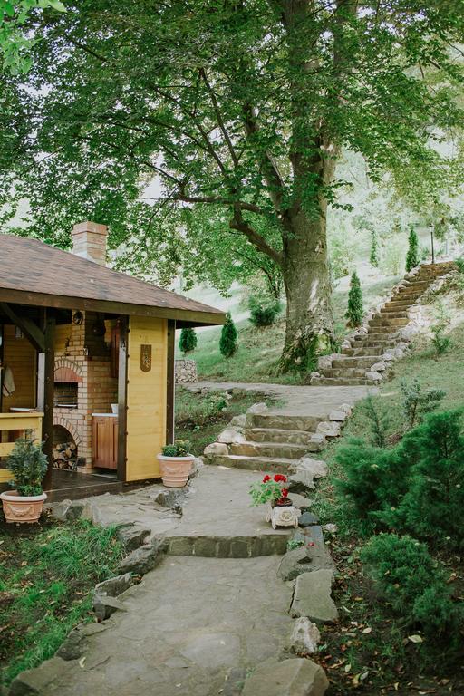 Cosama Village Сигишоара Экстерьер фото