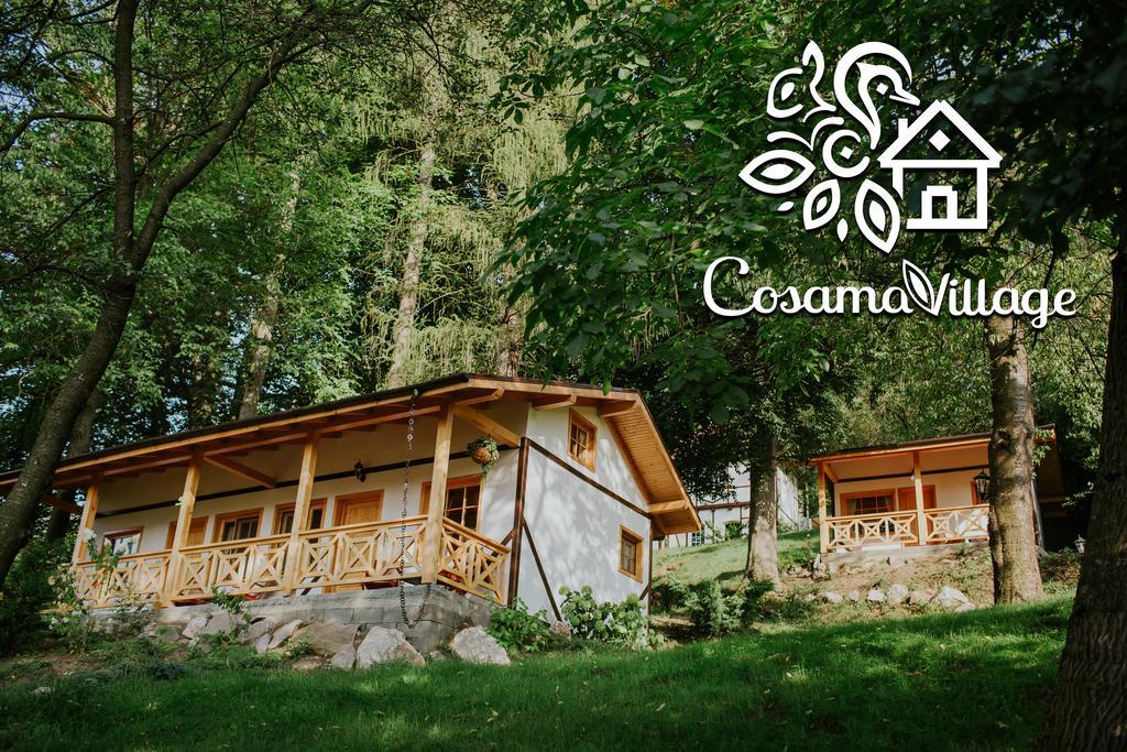 Cosama Village Сигишоара Экстерьер фото